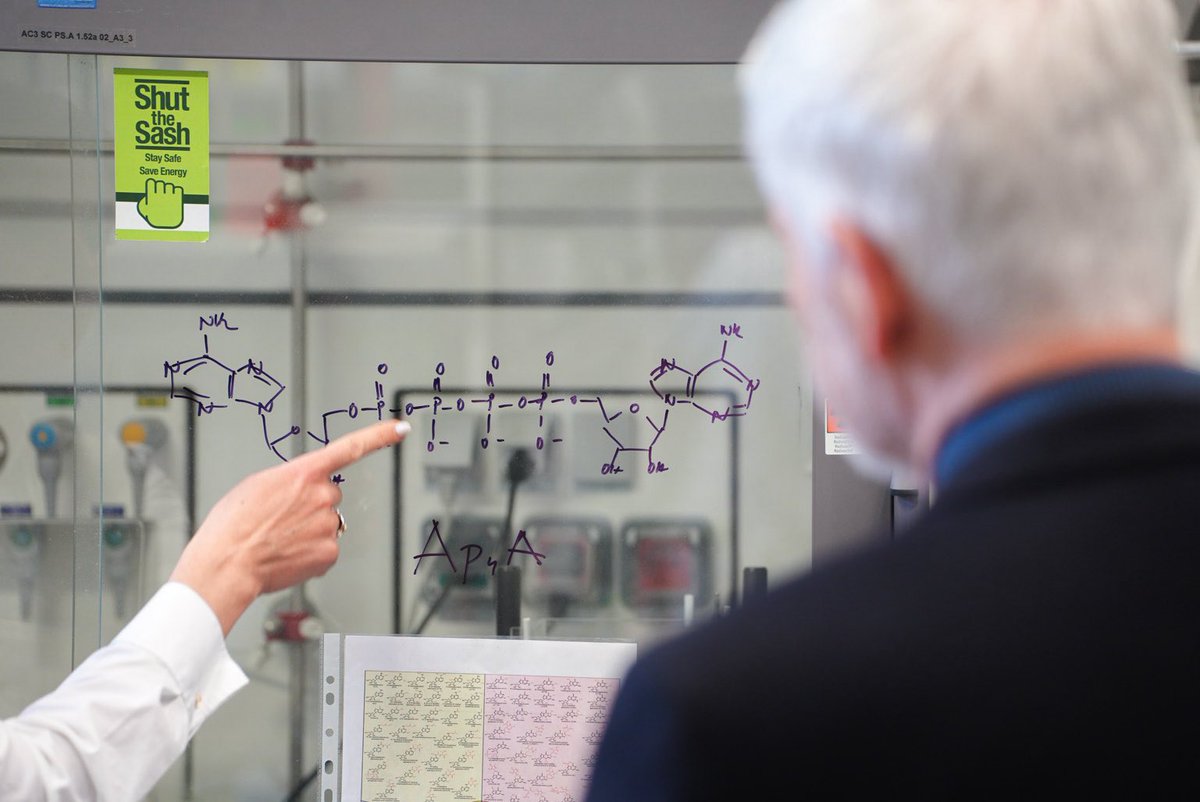 Petr Pavel tweet media