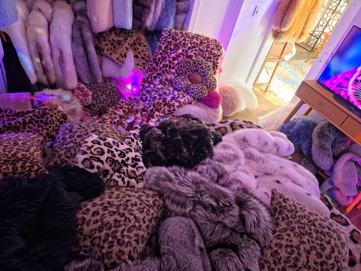 FurFetFun tweet media