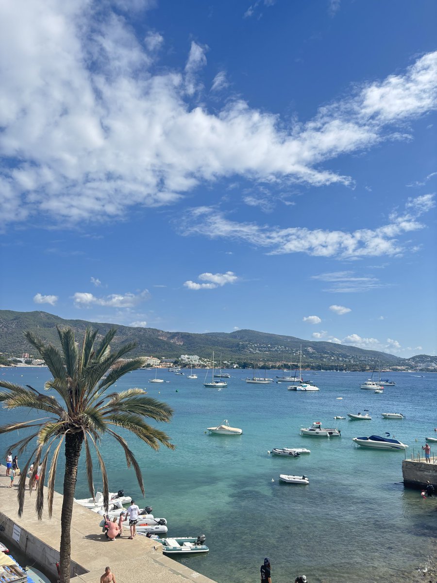 saraa🤍 tweet media