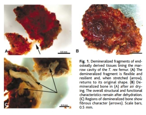 Sopranos tweet media