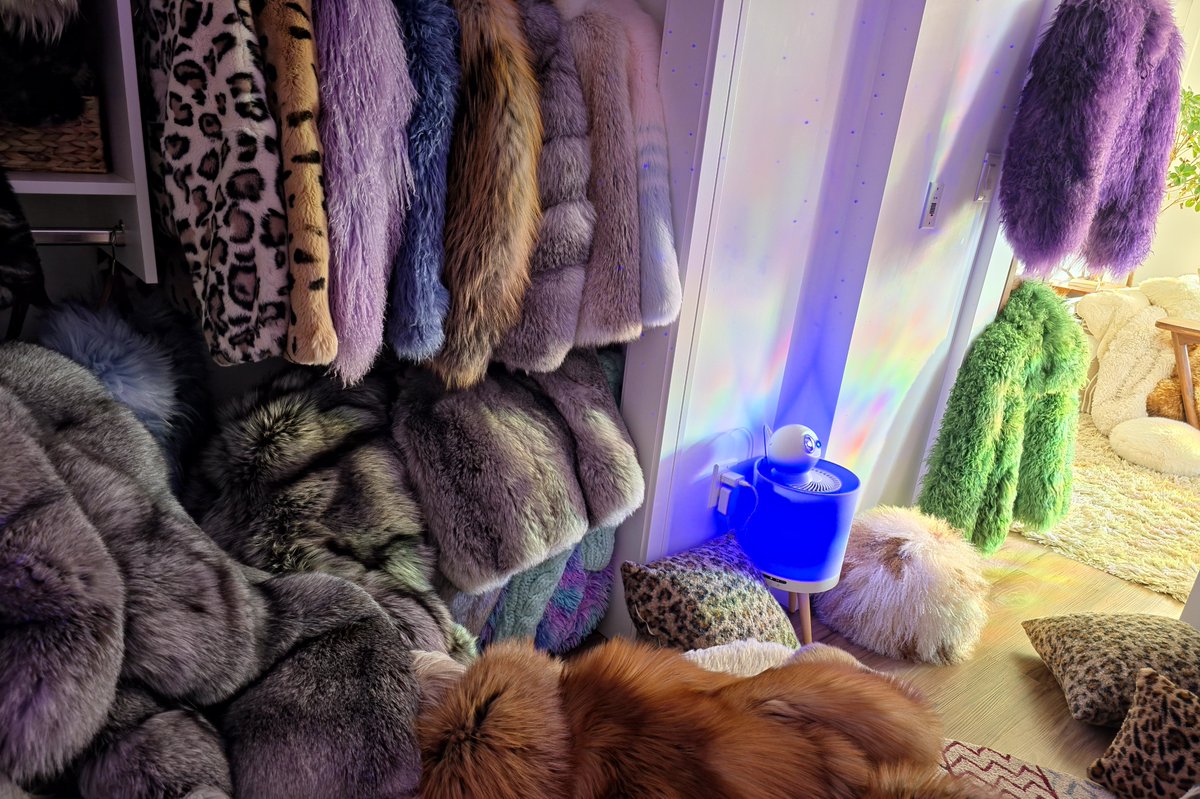 FurFetFun tweet media