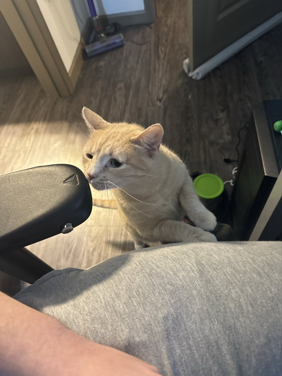 Jackson 😵💫 tweet media