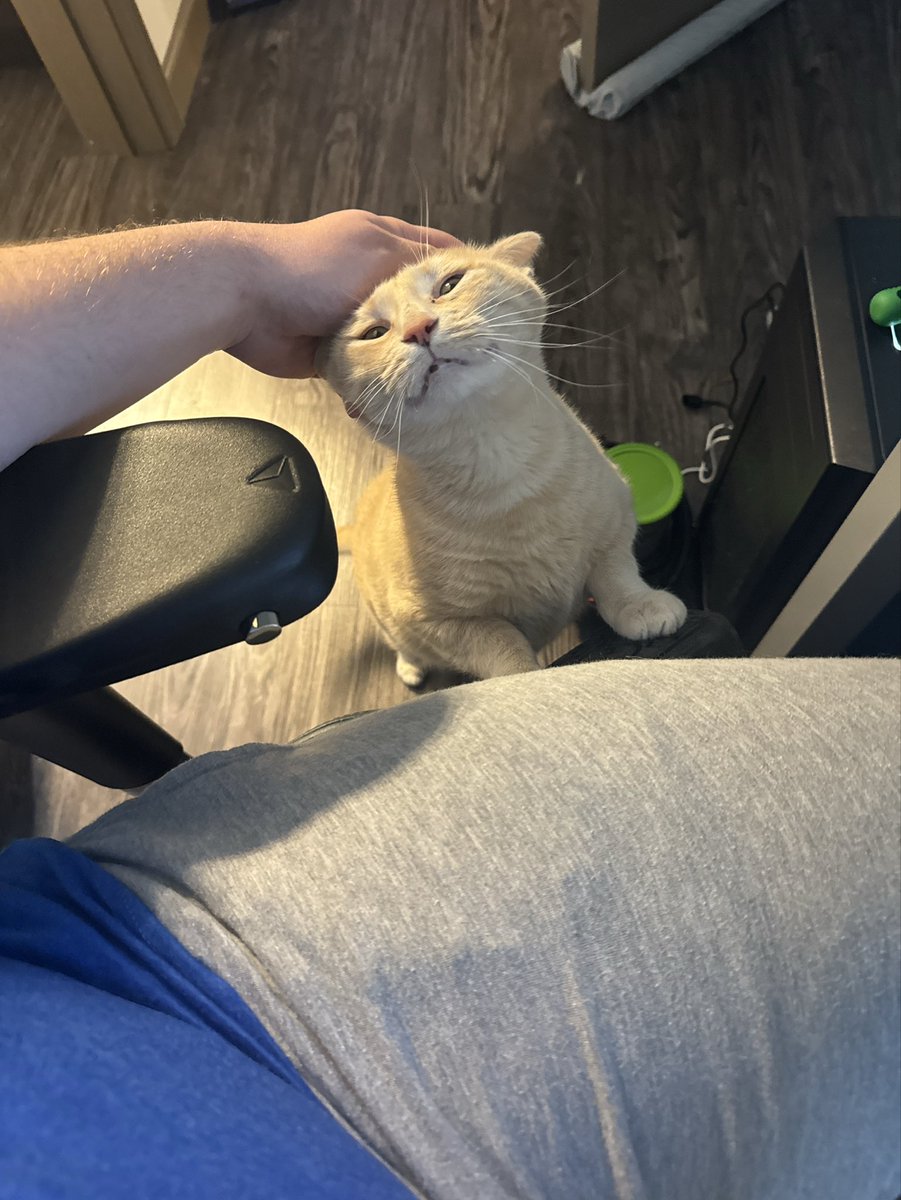 Jackson 😵💫 tweet media