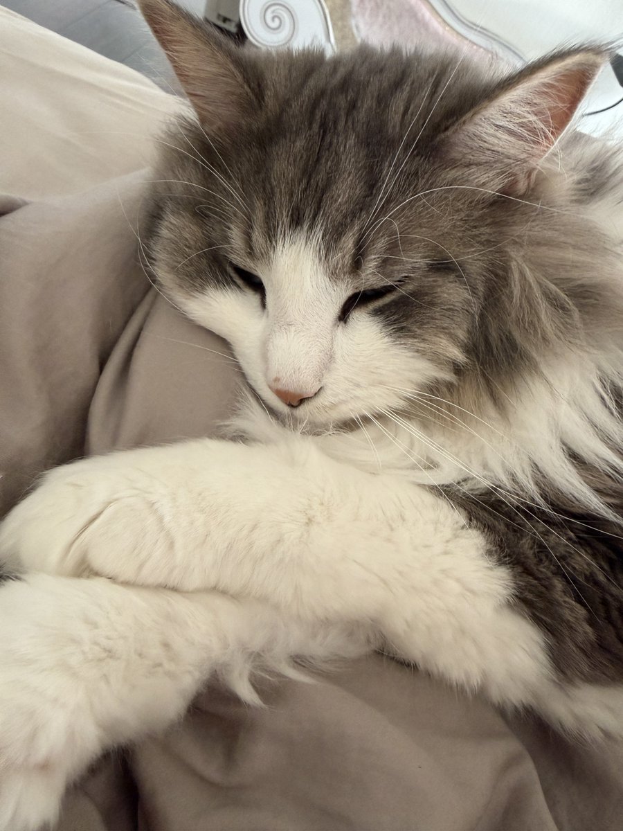 ゆぼくん🧖‍♂️ tweet media