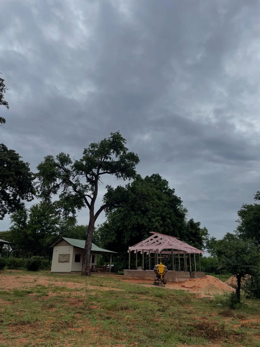 African Parks tweet media