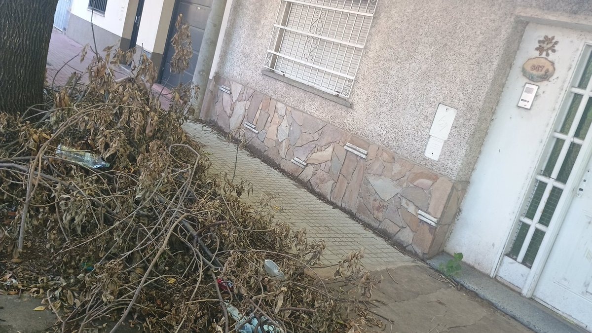 🌼Mabel Cabo 💫 tweet media