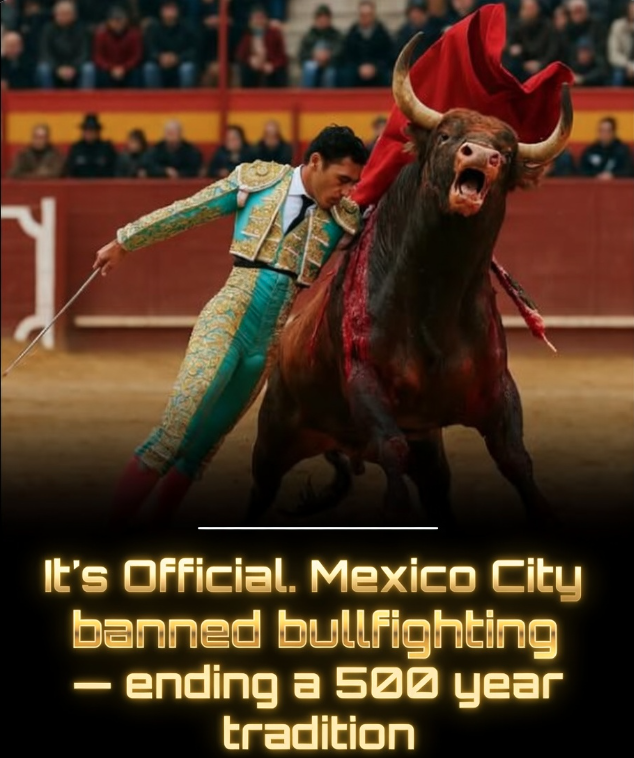 After 500 years, Mexico City outlawed bullfighting.

Mexico City has just ended one of the world’s oldest and most polarizing traditions. In a landslide 61–1 vote, lawmakers passed a sweeping ban on killing bulls and using sharp weapons in the ring, effectively shutting down