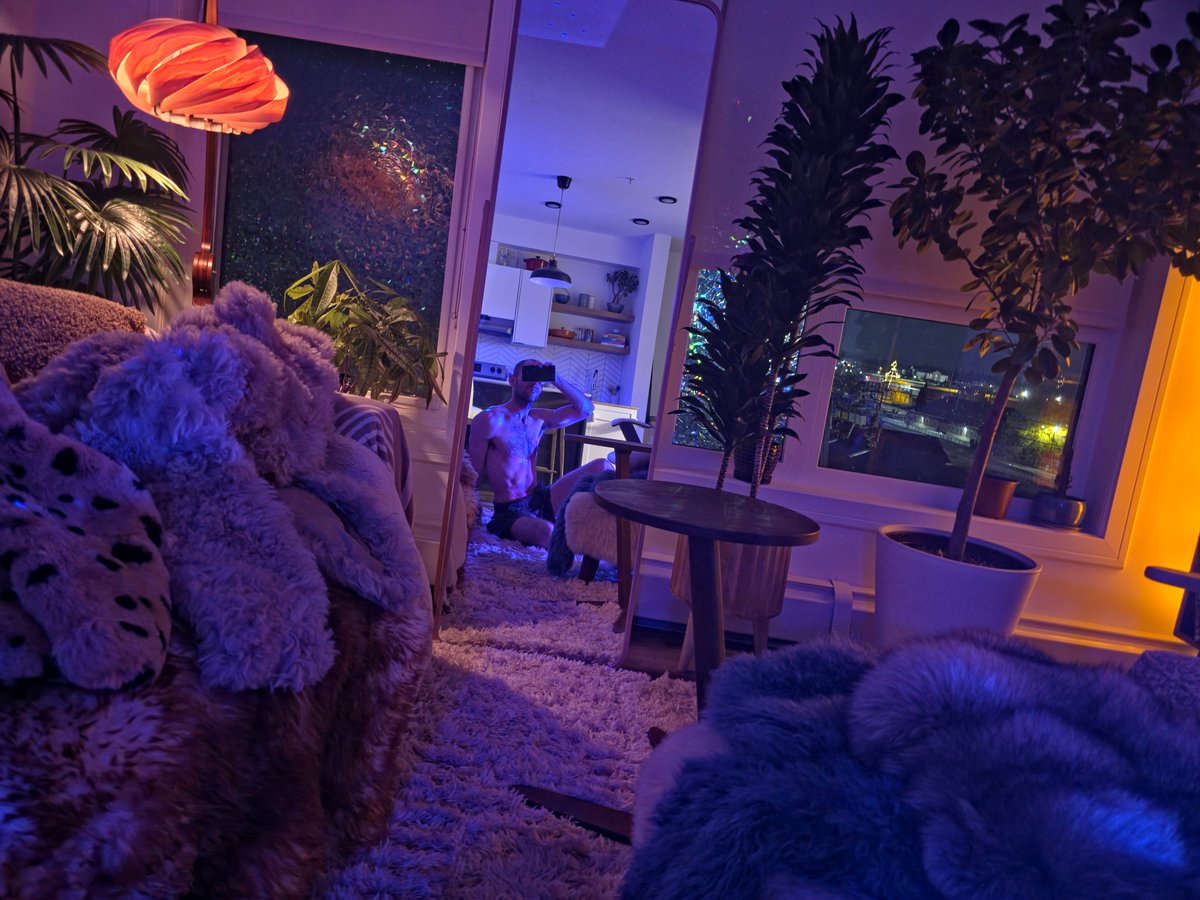 FurFetFun tweet media