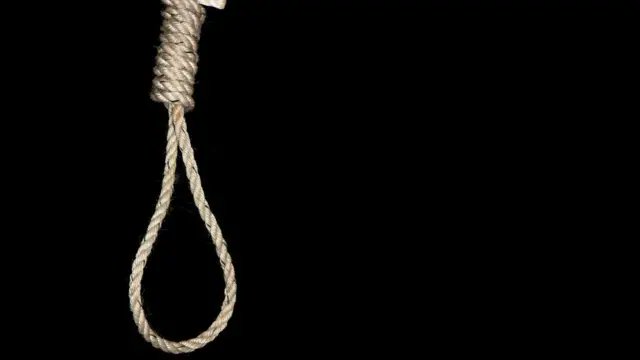 Рустем Адагамов tweet media