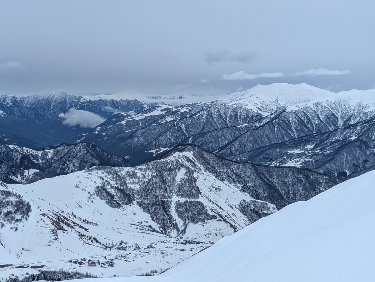 Things I see tweet media