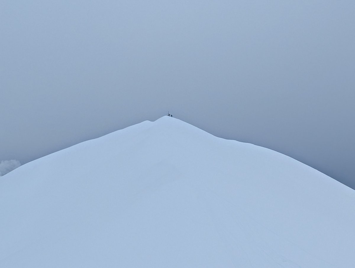 Things I see tweet media