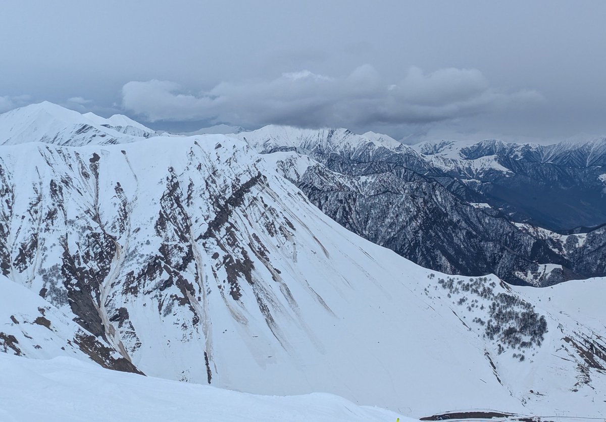 Things I see tweet media