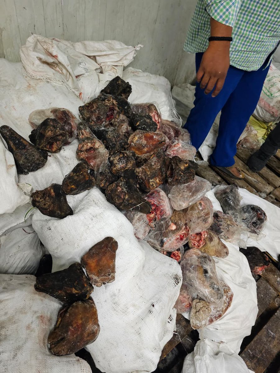 Revanth Chithaluri tweet media