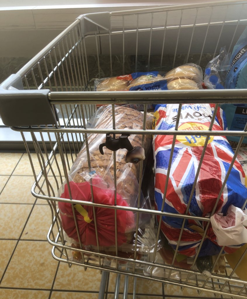 sylvie ^_^ tweet media