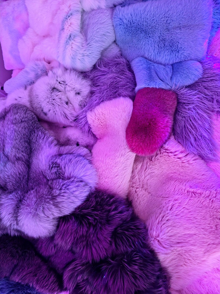 FurFetFun tweet media