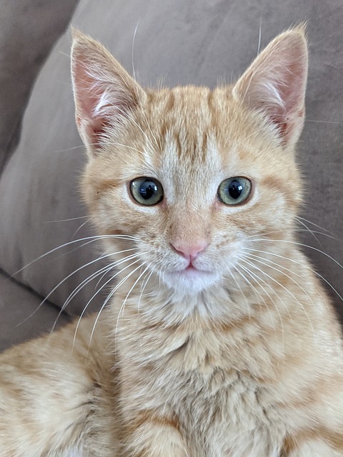 John Mochizuki tweet media