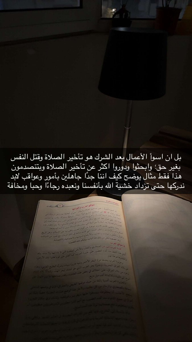 شجـرة🌿 tweet media