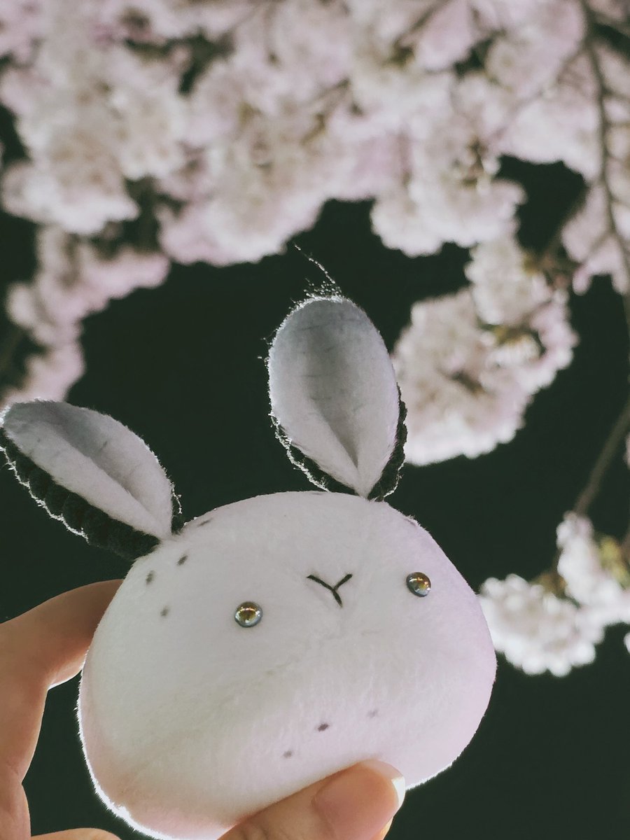 토끼모찌 레일 tweet media