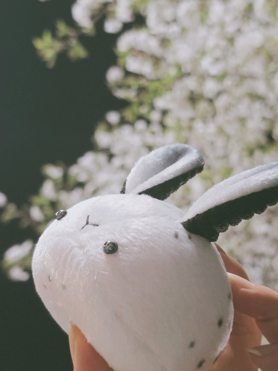 토끼모찌 레일 tweet media