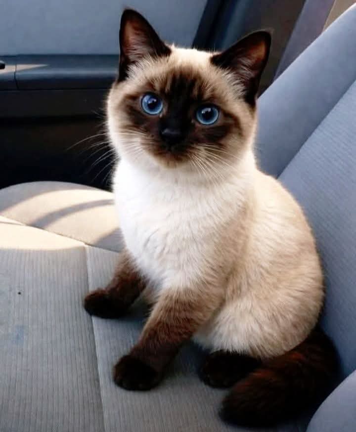 Mary 🕊️ tweet media