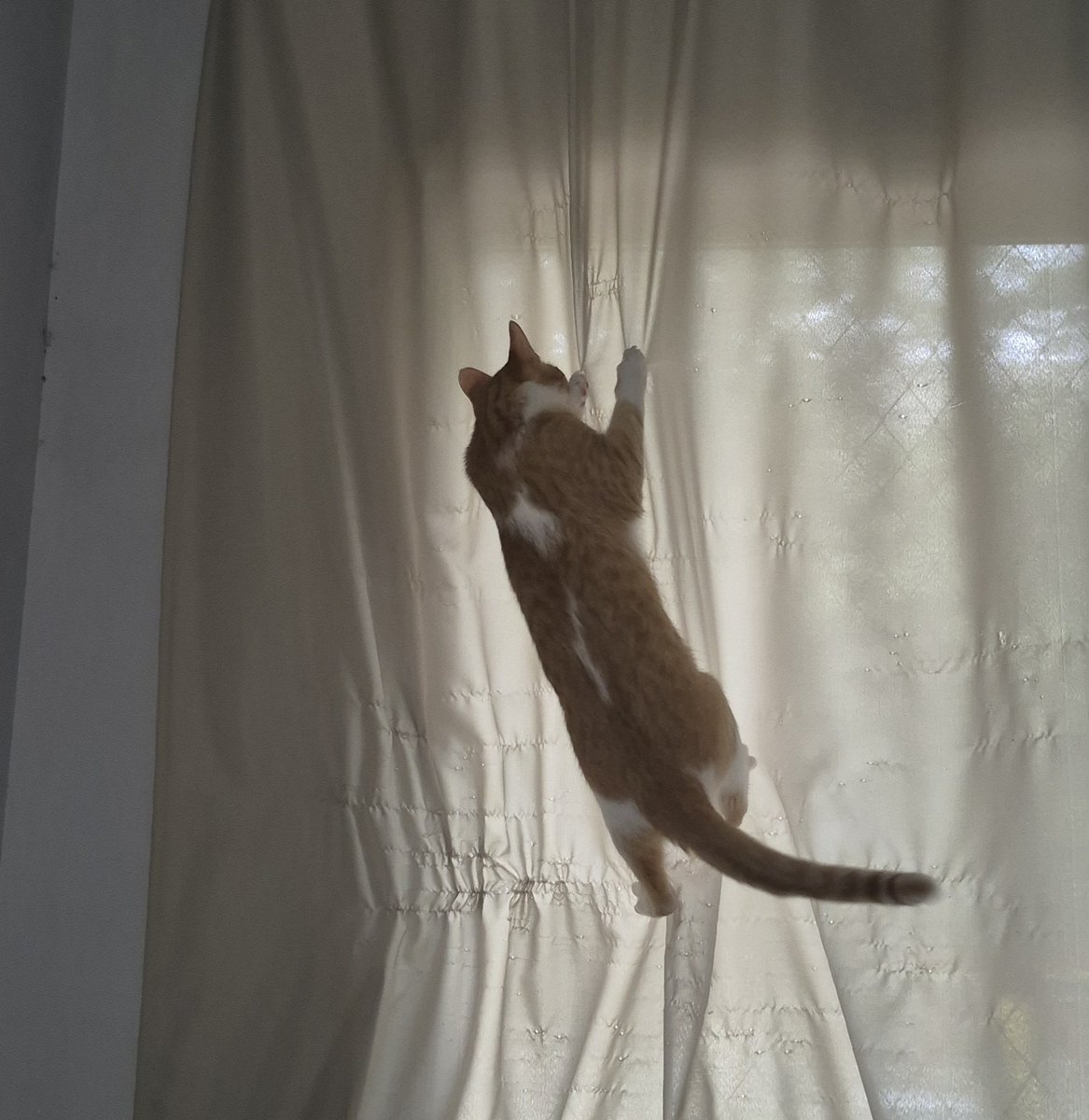 galgal satanás ☭ tweet media