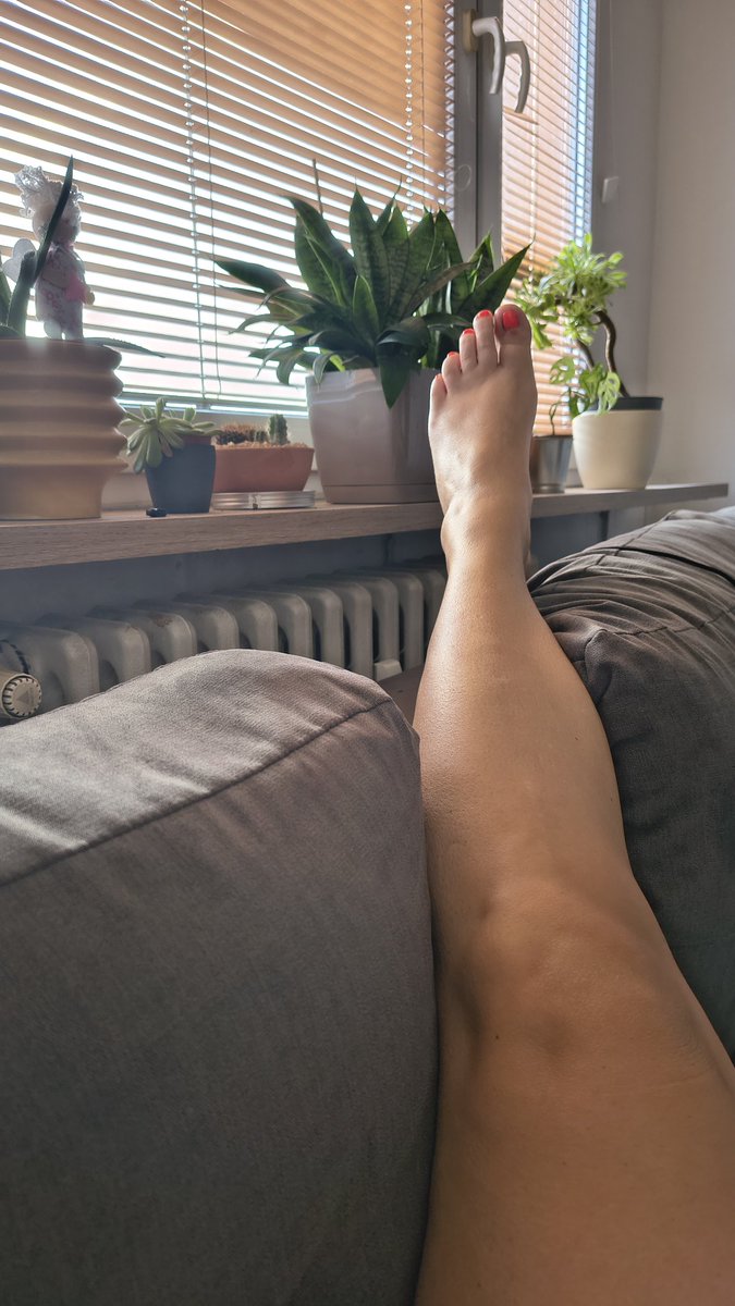 Klari Netka tweet media