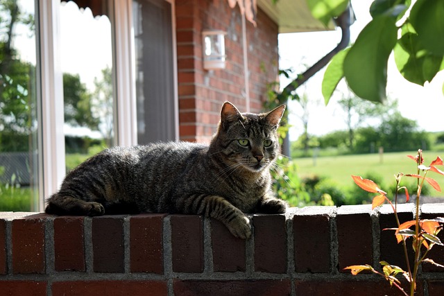 Marcus Cervantes tweet media