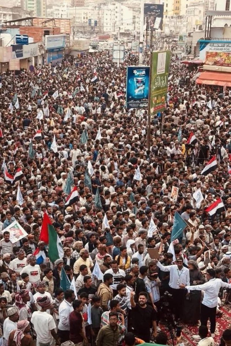 علي العريشي tweet media