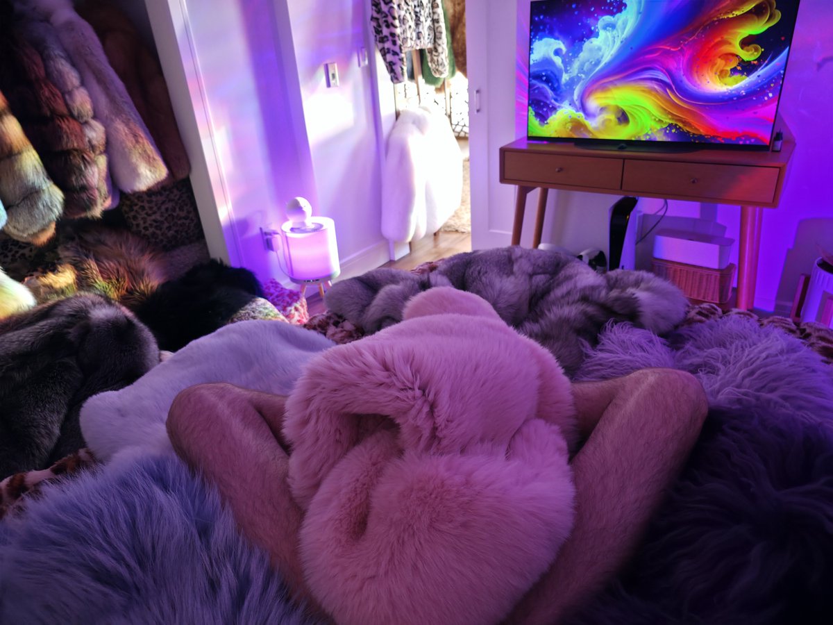 FurFetFun tweet media