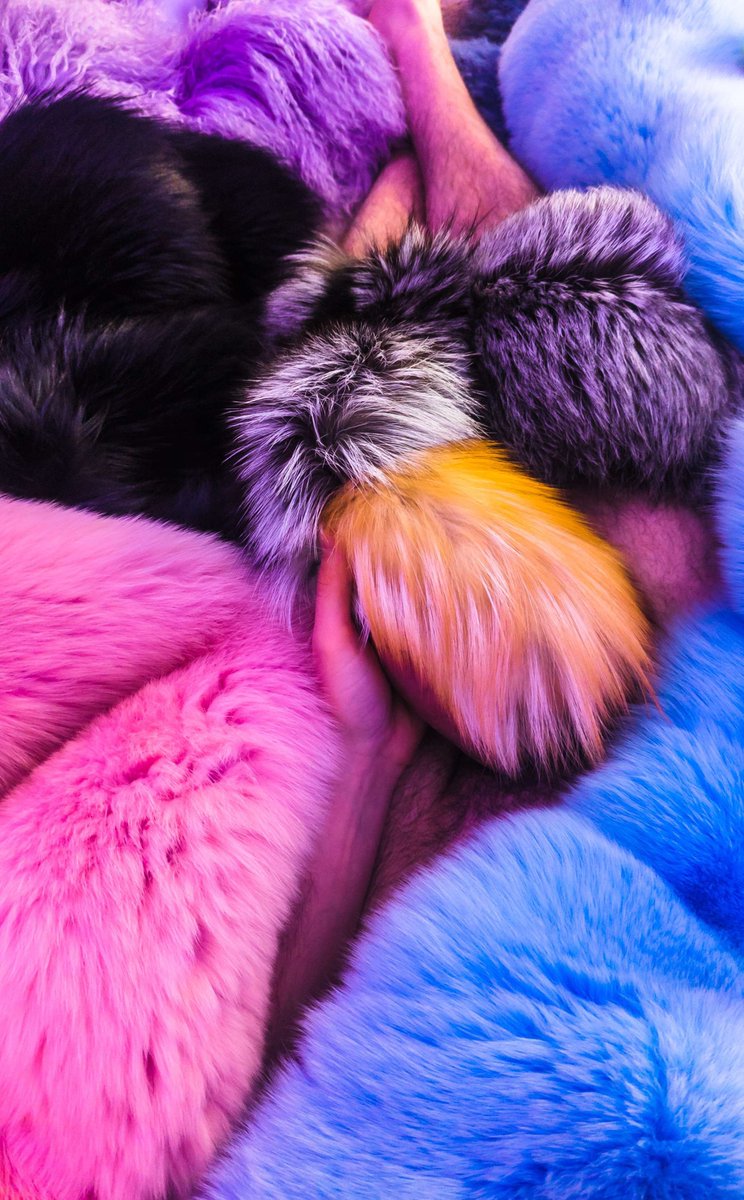 FurFetFun tweet media