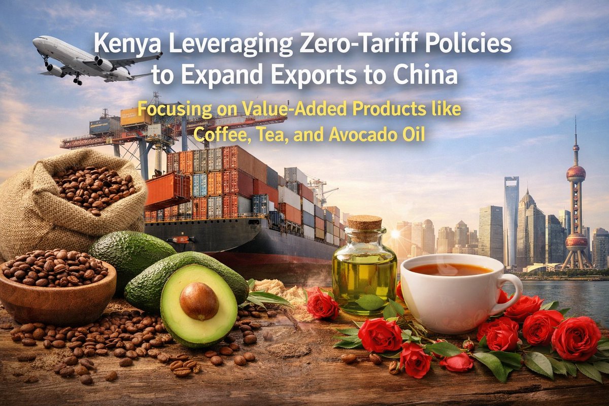 China Mission to the AU tweet media