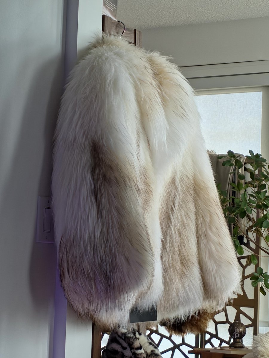 FurFetFun tweet media