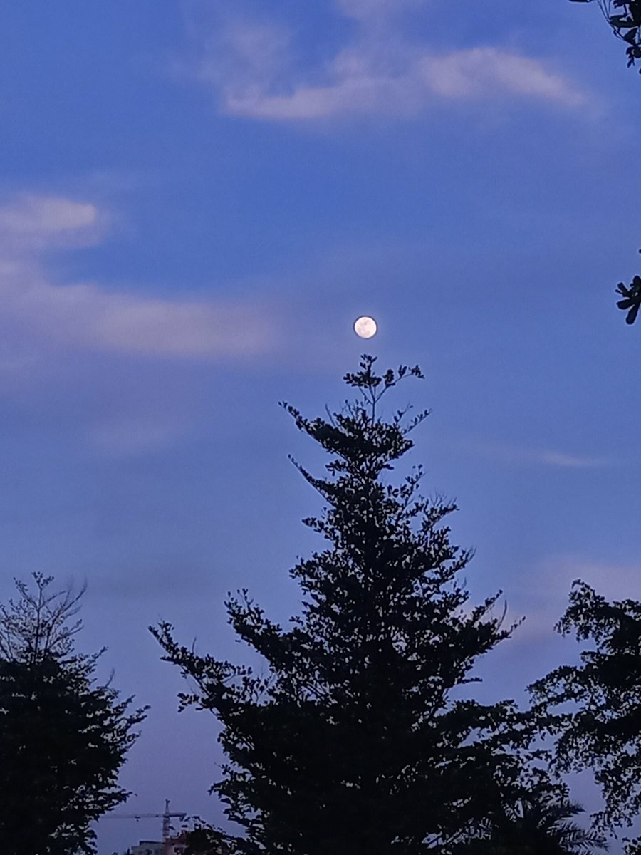 Parishay tweet media