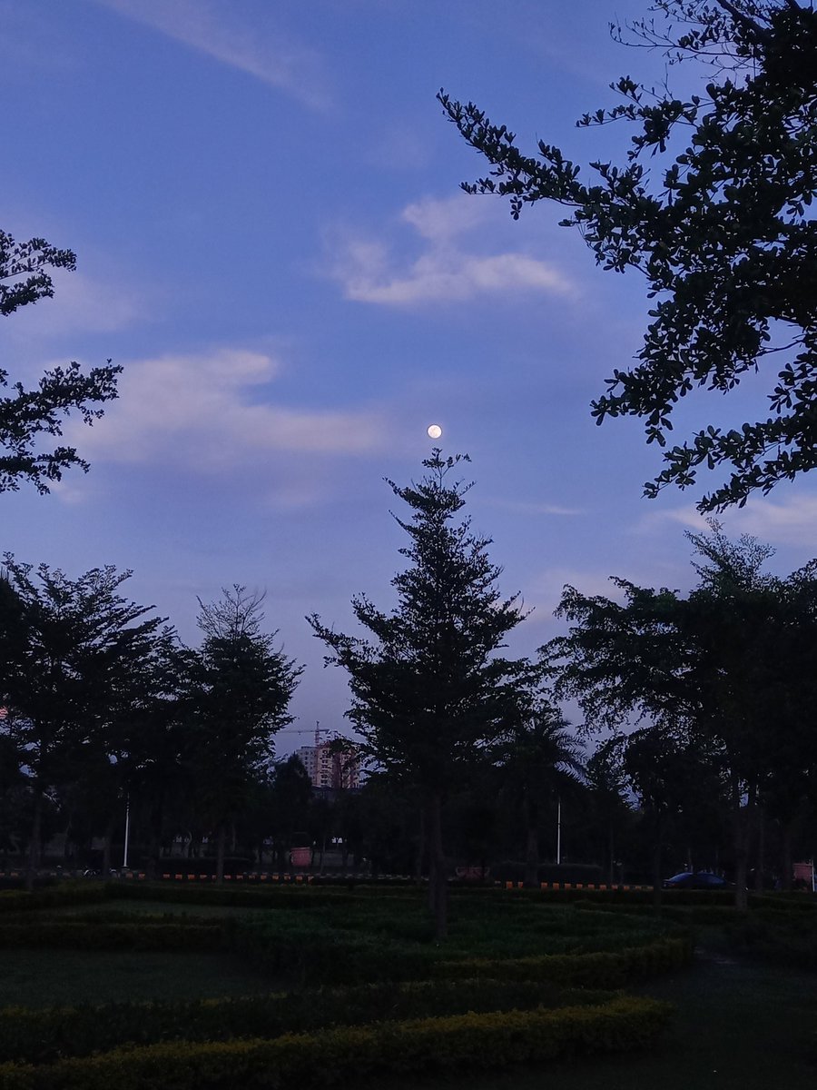 Parishay tweet media