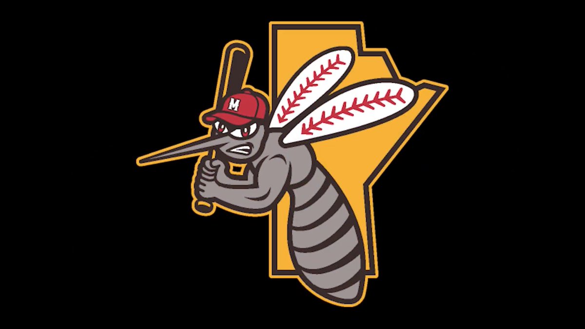 Minor League Promos tweet media