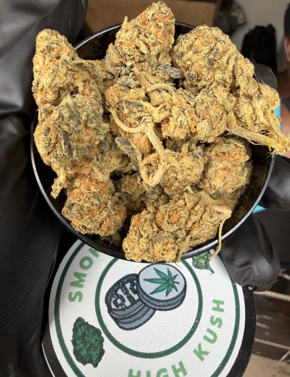 HIGHEST IN THE ROOM tweet media