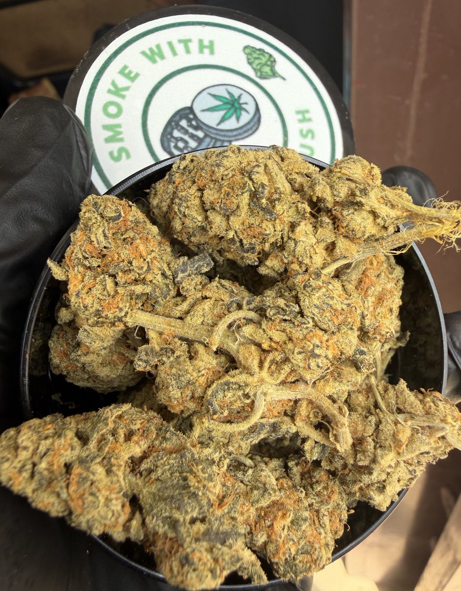 HIGHEST IN THE ROOM tweet media