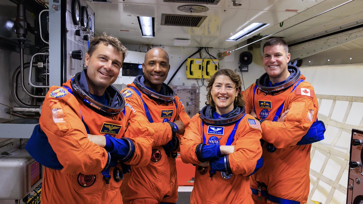 Кукуруза как у томакруза 🌽 tweet media