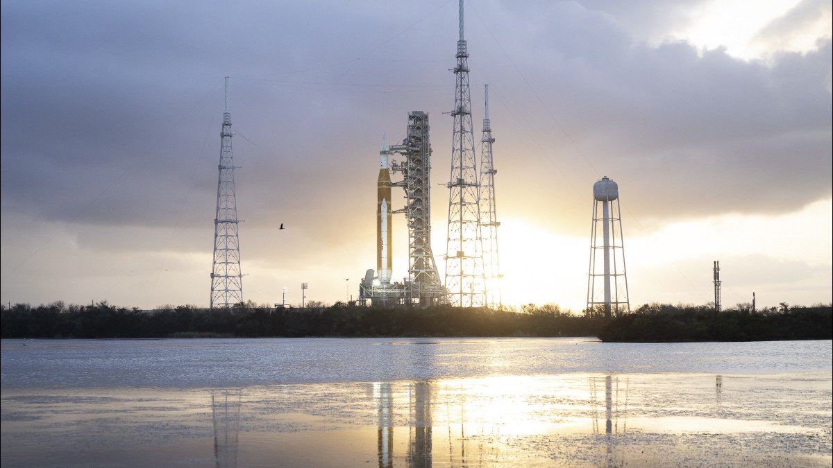 Кукуруза как у томакруза 🌽 tweet media