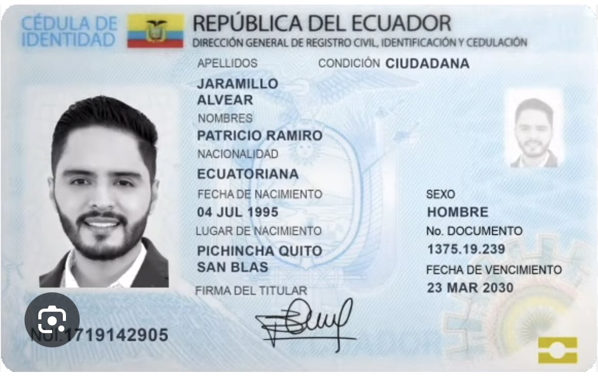 Peter en 𝕏 tweet media