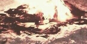 jensen -warpedlongbeach- tweet media