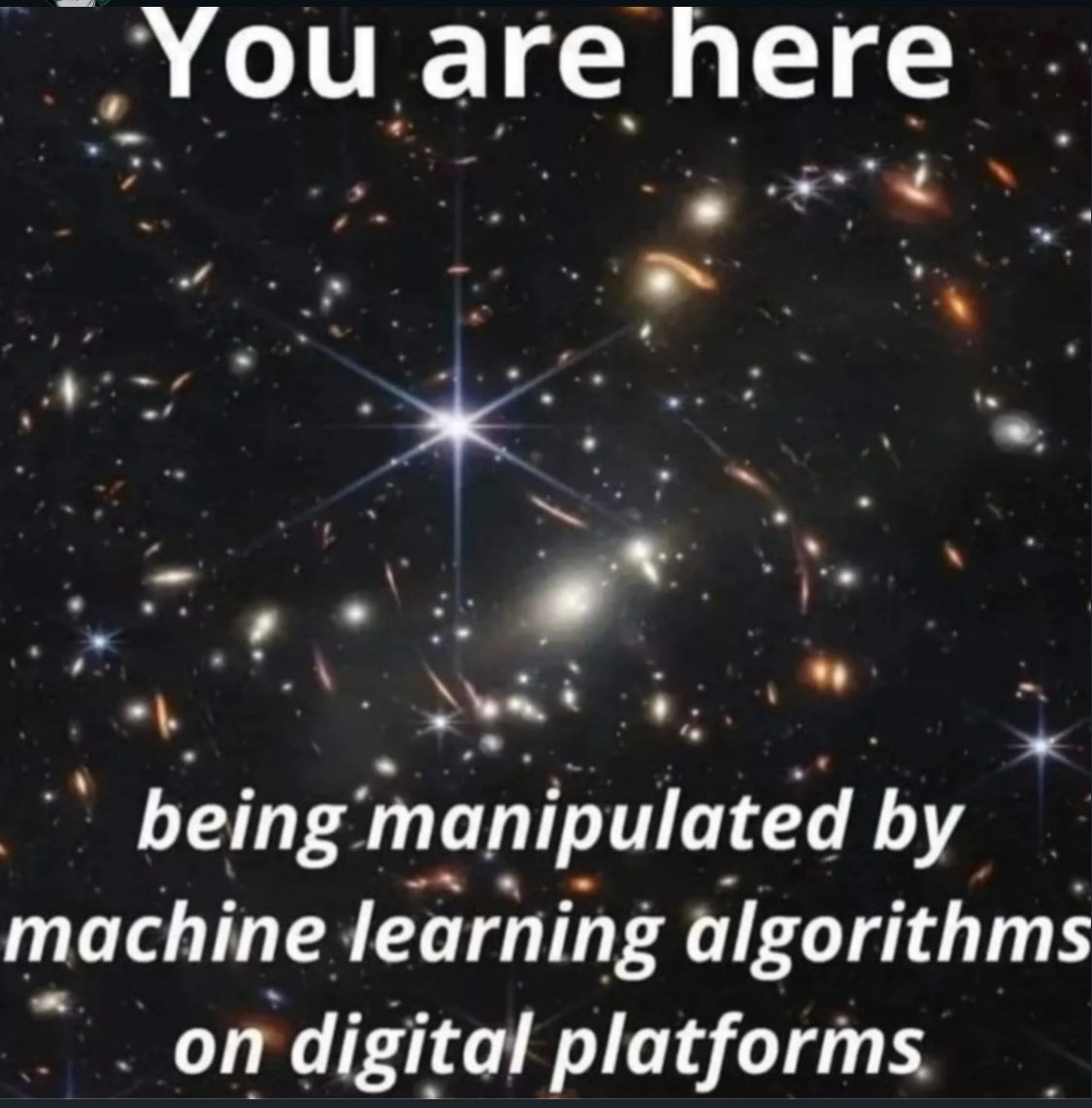 philosophy memes 🔗 tweet media