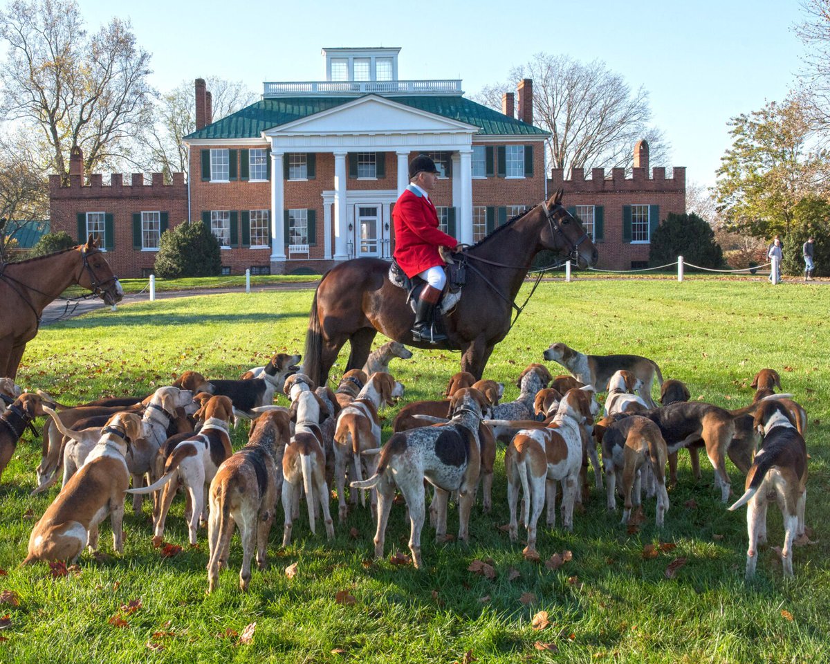 The Old World Show tweet media