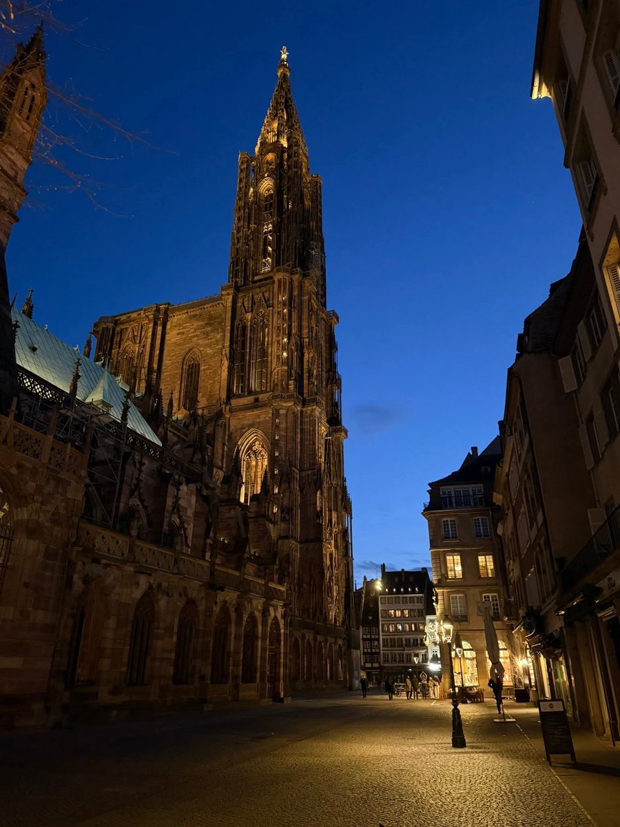 🇨🇵 LUCKAS (Lulu) 🇨🇵 tweet media