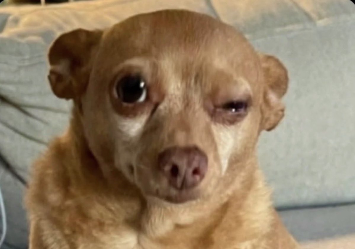 خالد المطيري tweet media