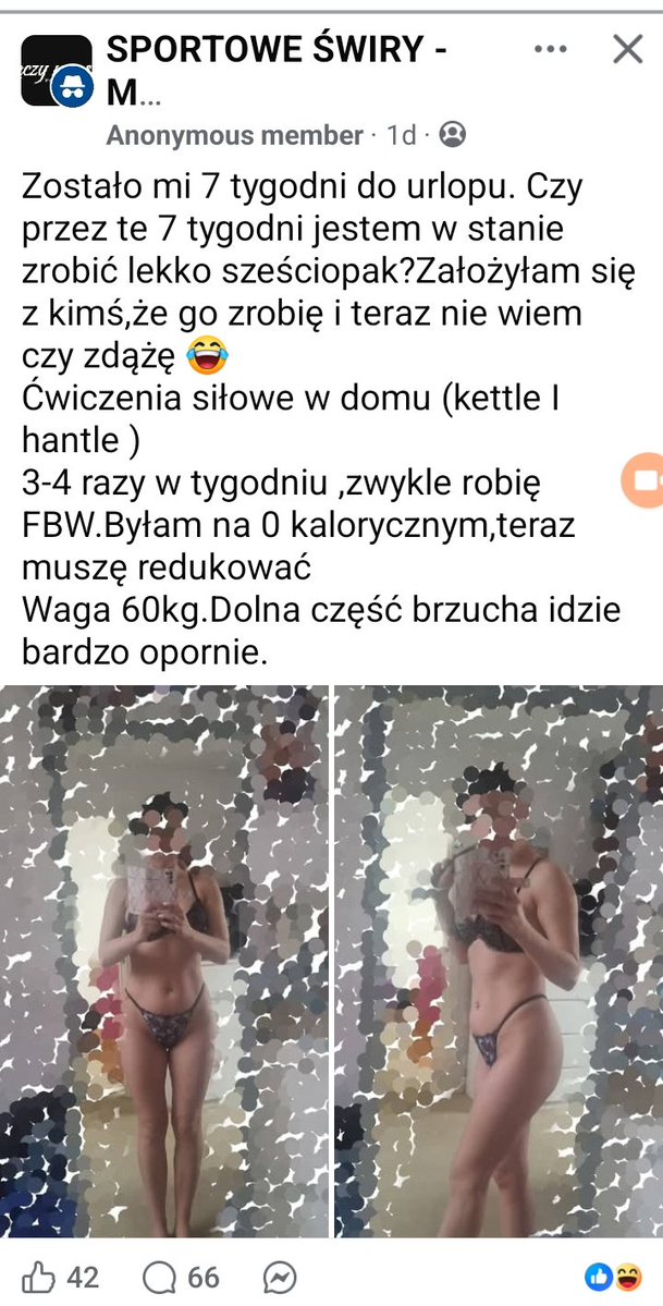 Projekt Bot Or Thot tweet media