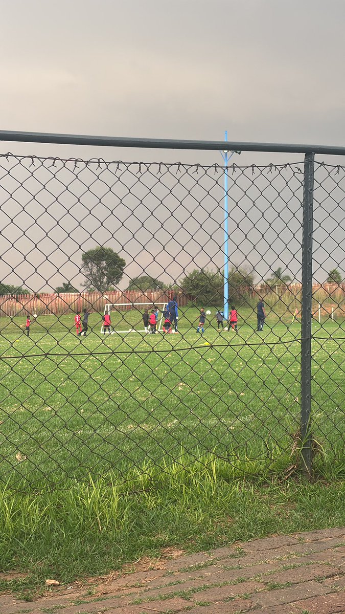 Madeline 2.0 tweet media