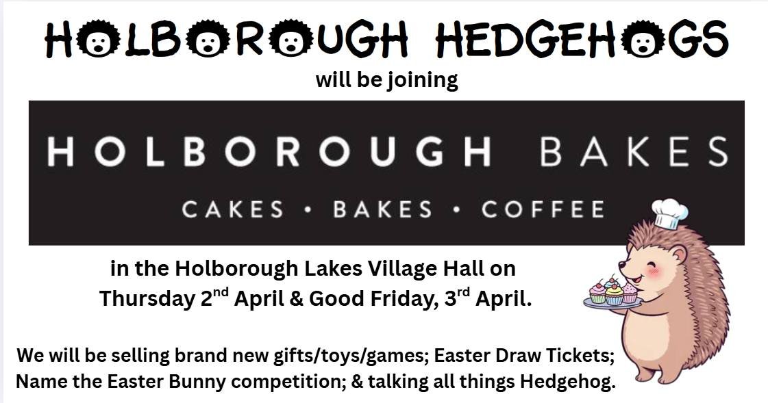 Holborough Hedgehogs tweet media