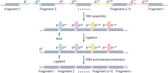 Nature Reviews Genetics tweet media