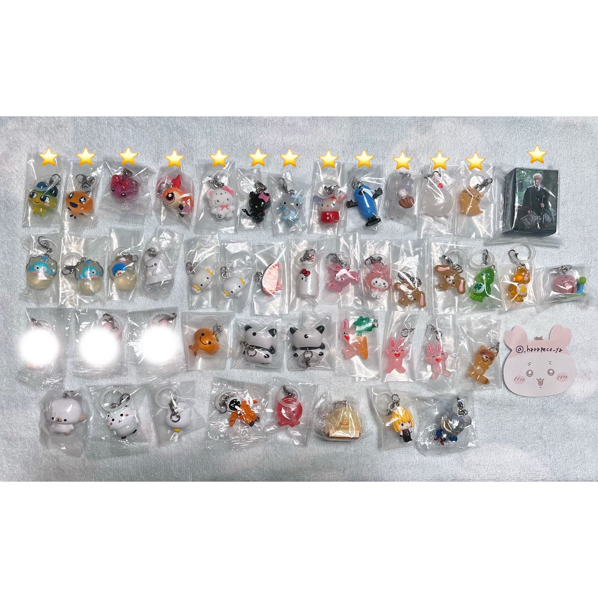 はらぺこ。 tweet media